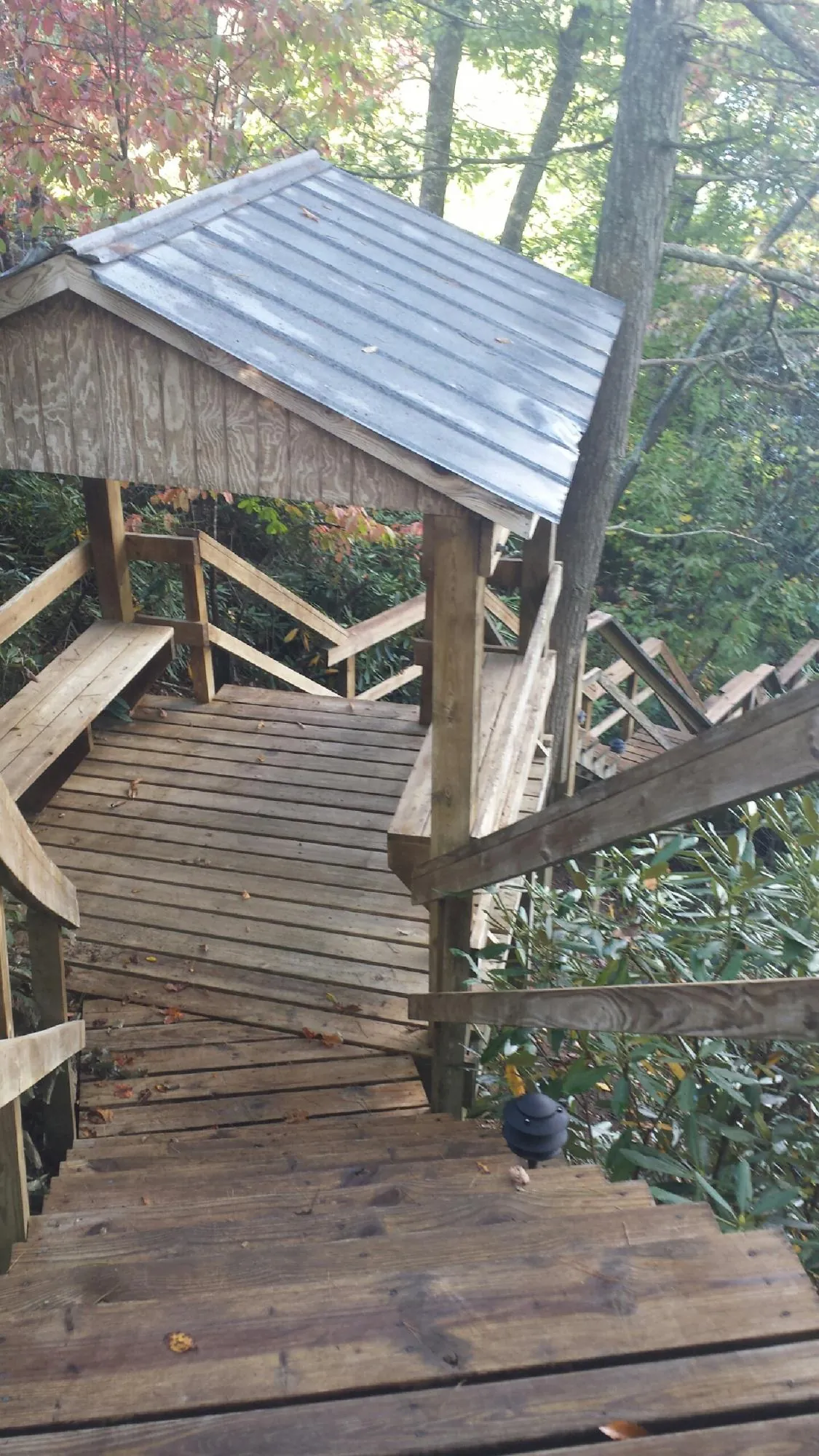 Metal roofed shelter over wooden steps on a wooded walkway — Skylight Repair & Installation work by our crew in Abbeville